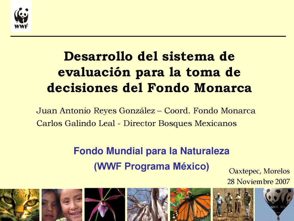 Fondo Mundial Para La Naturaleza - Ppt Descargar