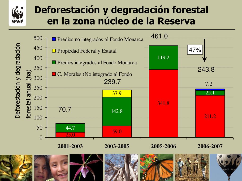 Deforestación y degradación forestal en la zona núcleo de la Reserva