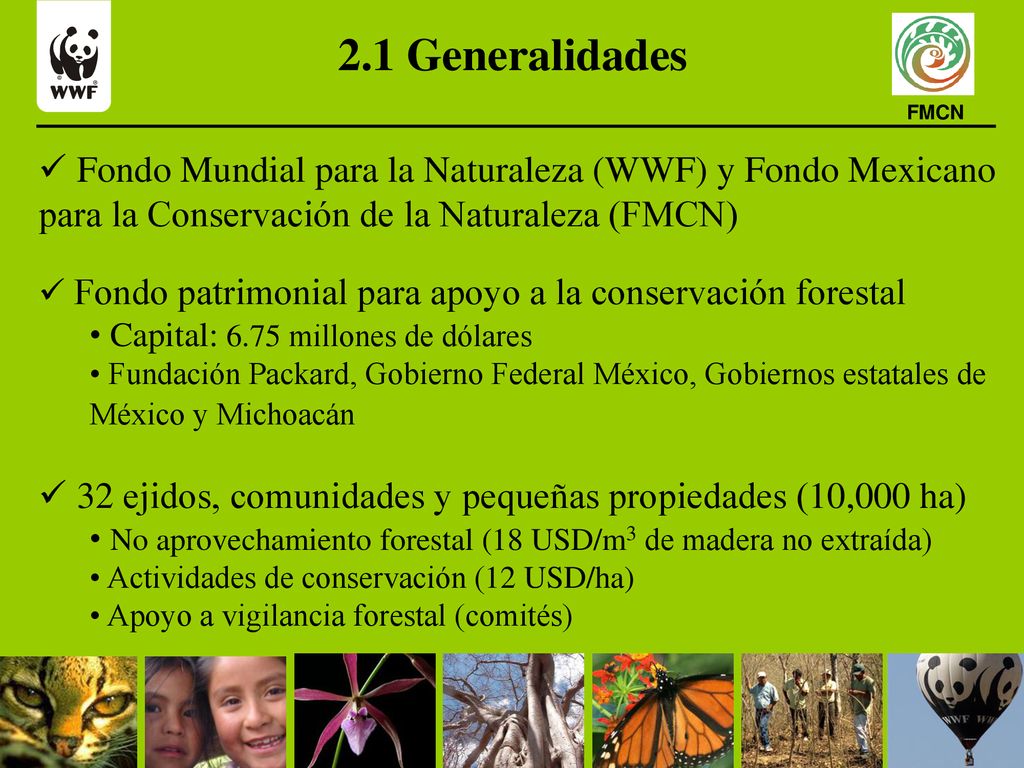 2.1 Generalidades FMCN. Fondo Mundial para la Naturaleza (WWF) y Fondo Mexicano para la Conservación de la Naturaleza (FMCN)