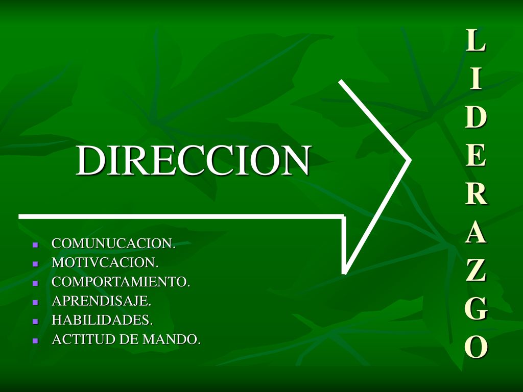 DIRECCION L I D E R A Z G O COMUNUCACION. MOTIVCACION. COMPORTAMIENTO.