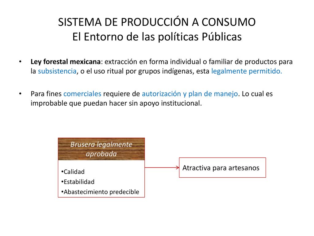 SISTEMA DE PRODUCCIÓN A CONSUMO El Entorno de las políticas Públicas