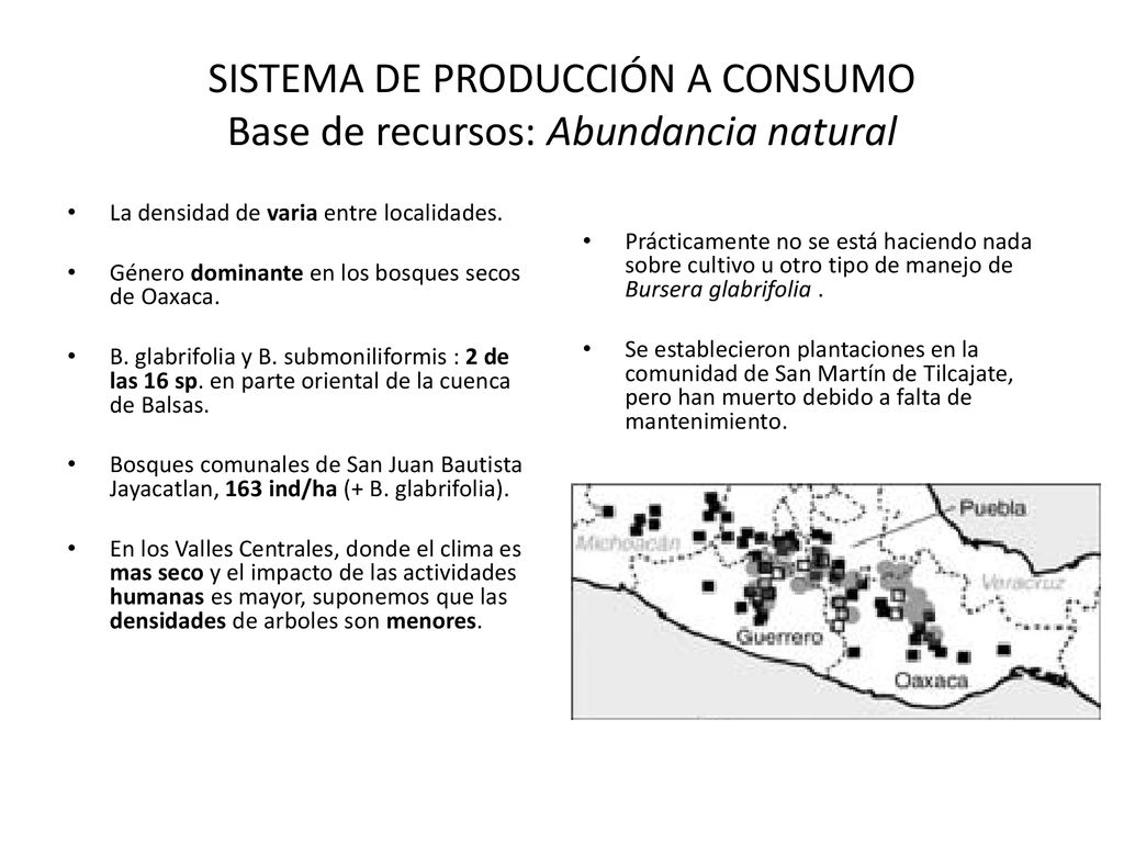 SISTEMA DE PRODUCCIÓN A CONSUMO Base de recursos: Abundancia natural