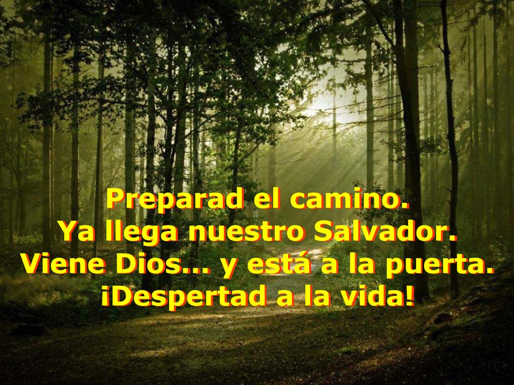 Ya llega nuestro Salvador. Viene Dios... y está a la puerta.