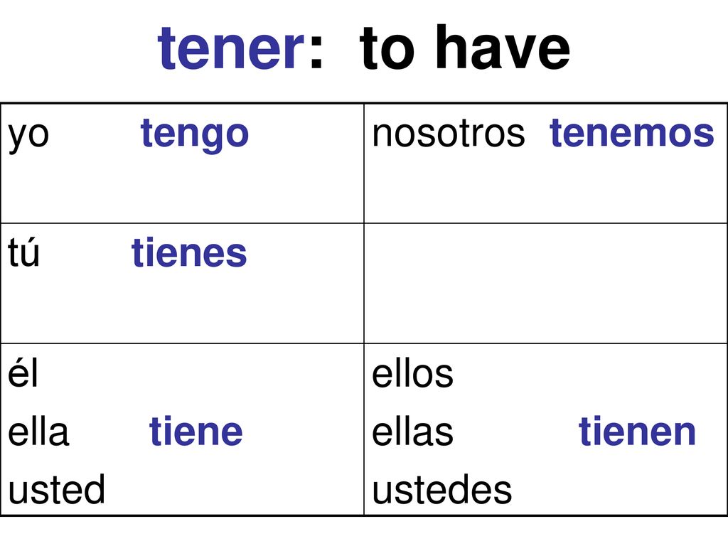 tener: to have yo tengo nosotros tenemos tú tienes él ella tiene usted