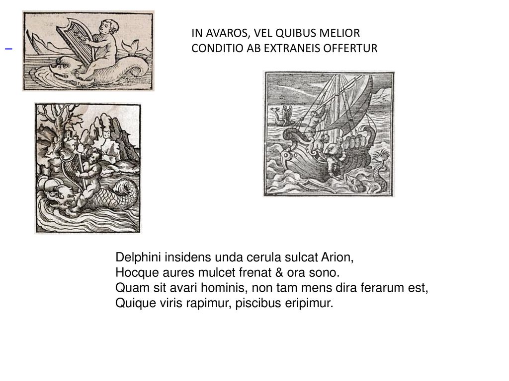 . IN AVAROS, VEL QUIBUS MElior conditio ab extraneis offertur.