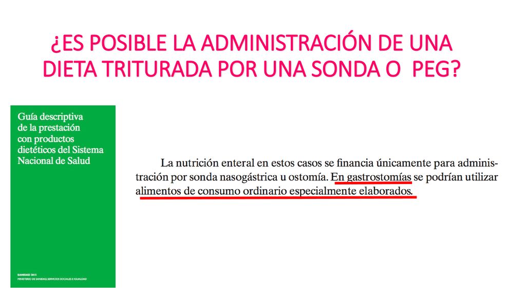 ¿ES POSIBLE LA ADMINISTRACIÓN DE UNA DIETA TRITURADA POR UNA SONDA O PEG