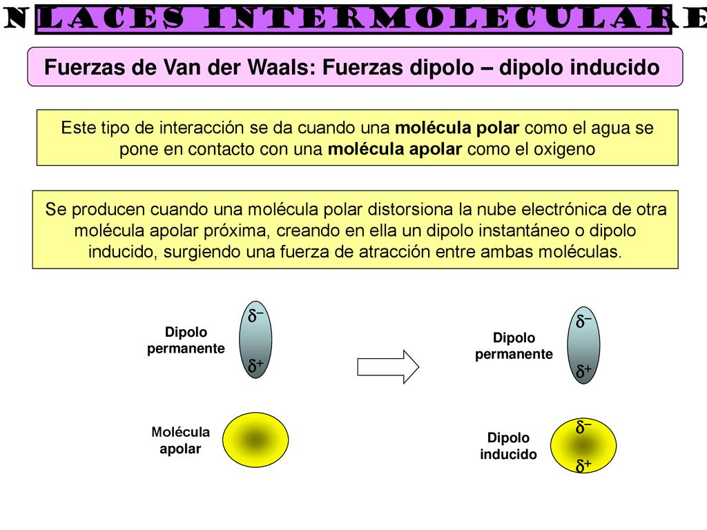 Fuerzas de Van der Waals: Fuerzas dipolo – dipolo inducido