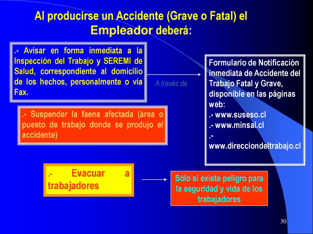 Al producirse un Accidente (Grave o Fatal) el Empleador deberá: