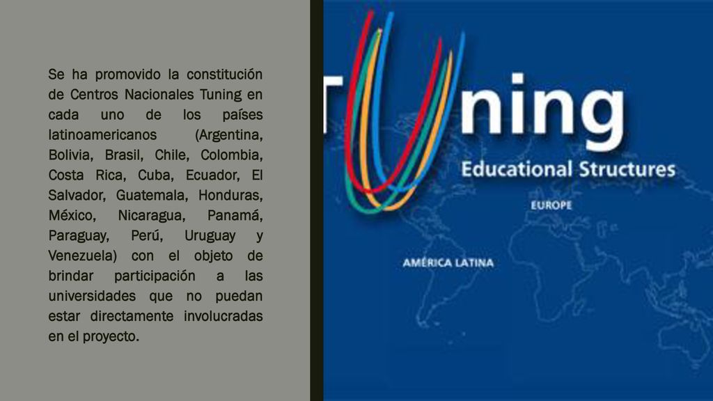Se ha promovido la constitución de Centros Nacionales Tuning en cada uno de los países latinoamericanos (Argentina, Bolivia, Brasil, Chile, Colombia, Costa Rica, Cuba, Ecuador, El Salvador, Guatemala, Honduras, México, Nicaragua, Panamá, Paraguay, Perú, Uruguay y Venezuela) con el objeto de brindar participación a las universidades que no puedan estar directamente involucradas en el proyecto.