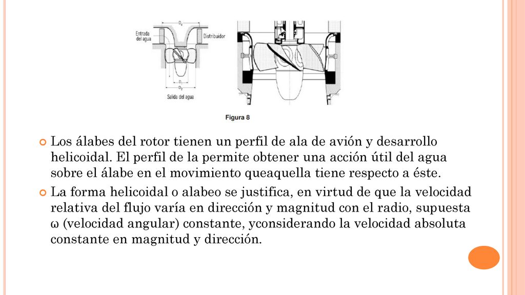 Los álabes del rotor tienen un perfil de ala de avión y desarrollo helicoidal. El perfil de la permite obtener una acción útil del agua sobre el álabe en el movimiento queaquella tiene respecto a éste.