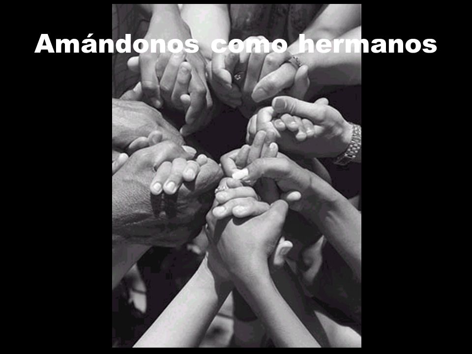Amándonos como hermanos