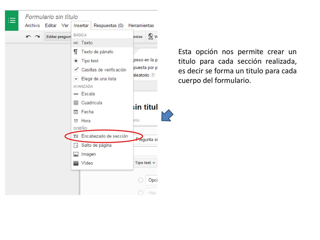 Esta opción nos permite crear un titulo para cada sección realizada, es decir se forma un titulo para cada cuerpo del formulario.