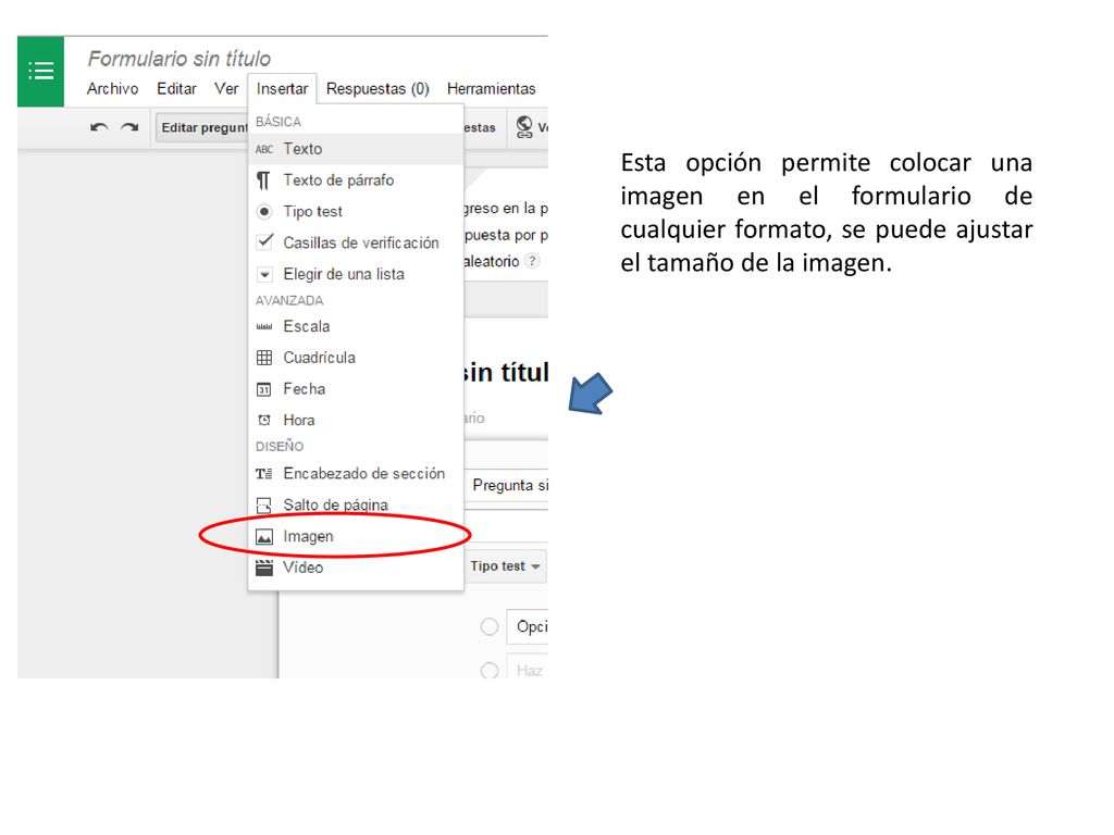 Esta opción permite colocar una imagen en el formulario de cualquier formato, se puede ajustar el tamaño de la imagen.