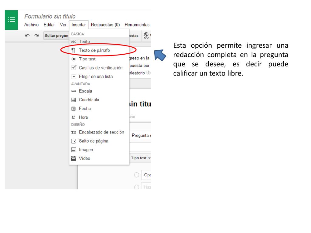 Esta opción permite ingresar una redacción completa en la pregunta que se desee, es decir puede calificar un texto libre.
