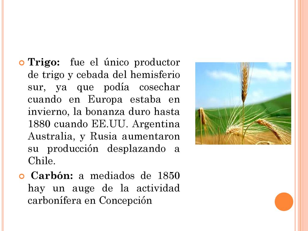 Trigo: fue el único productor de trigo y cebada del hemisferio sur, ya que podía cosechar cuando en Europa estaba en invierno, la bonanza duro hasta 1880 cuando EE.UU. Argentina Australia, y Rusia aumentaron su producción desplazando a Chile.