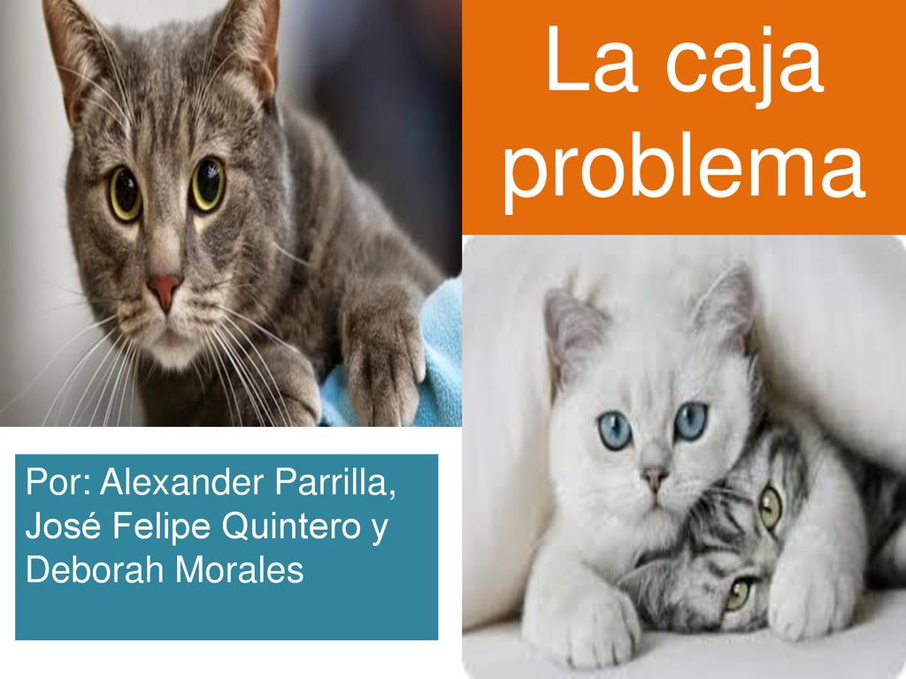 La caja problema Por: Alexander Parrilla, José Felipe Quintero y Deborah Morales