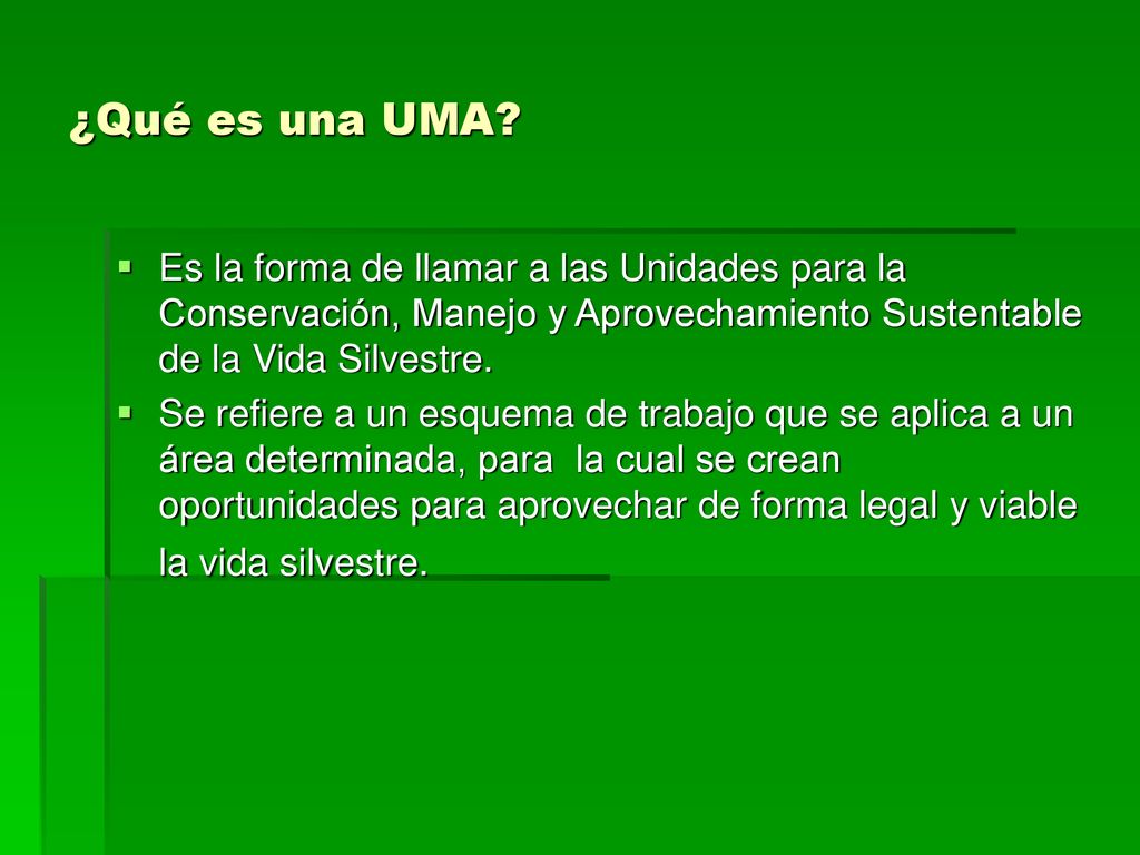 ¿Qué es una UMA Es la forma de llamar a las Unidades para la Conservación, Manejo y Aprovechamiento Sustentable de la Vida Silvestre.