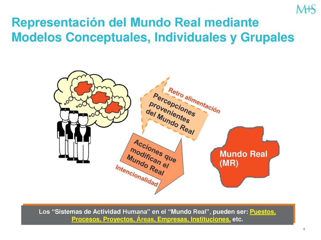 Representación del Mundo Real mediante Modelos Conceptuales, Individuales y Grupales