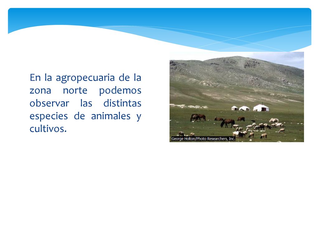En la agropecuaria de la zona norte podemos observar las distintas especies de animales y cultivos.