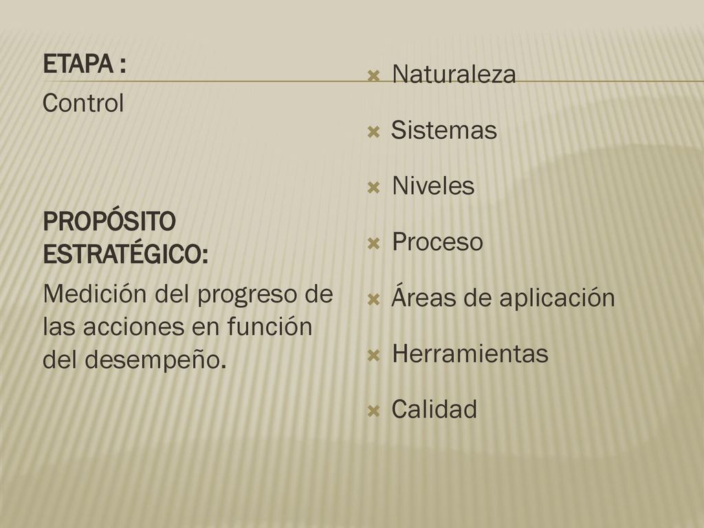ETAPA : Control PROPÓSITO ESTRATÉGICO: Medición del progreso de las acciones en función del desempeño.
