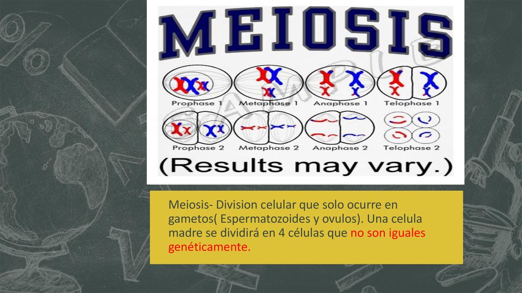 Meiosis- Division celular que solo ocurre en gametos( Espermatozoides y ovulos).