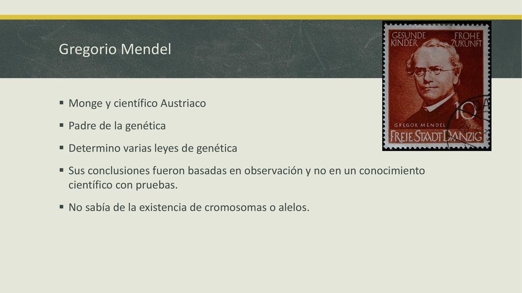Gregorio Mendel Monge y científico Austriaco Padre de la genética