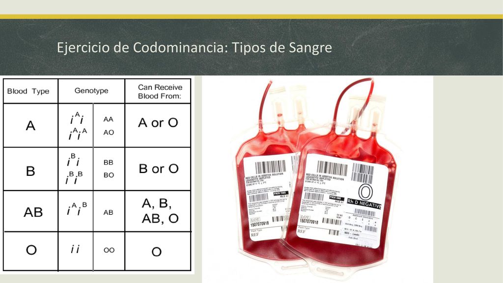 Ejercicio de Codominancia: Tipos de Sangre