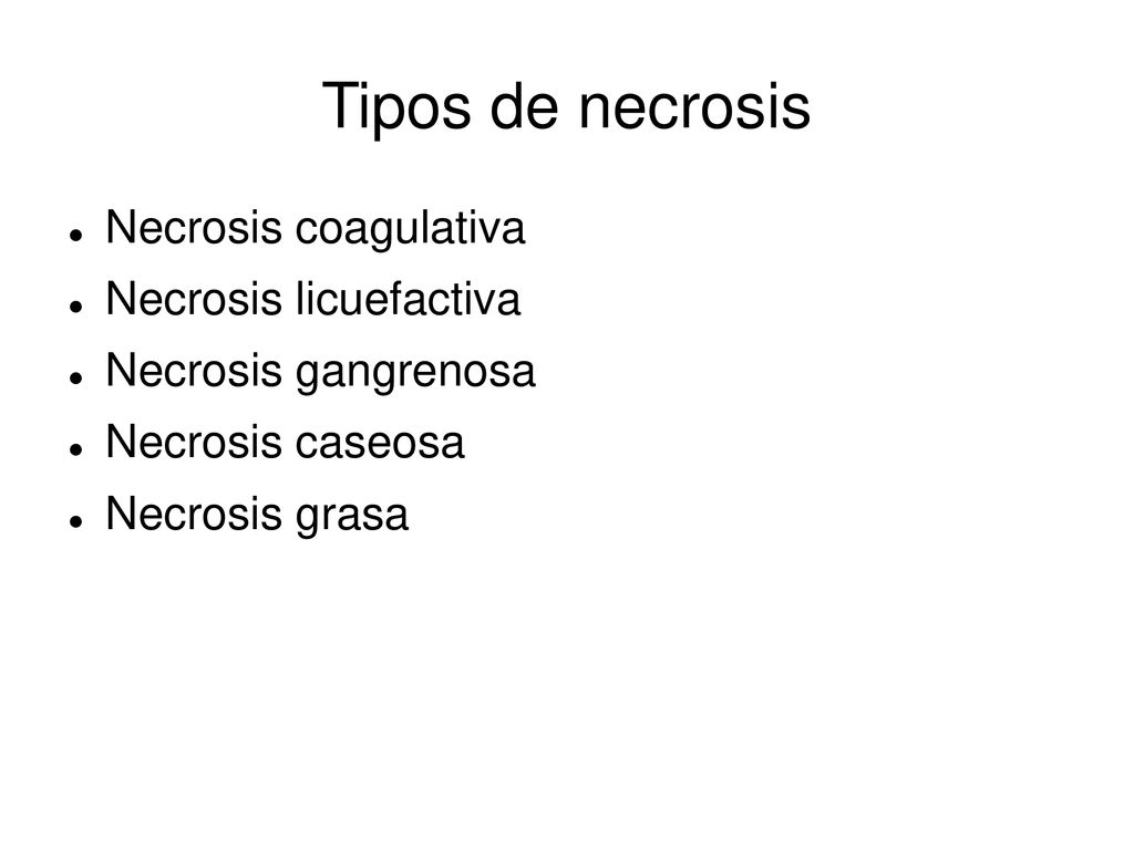 Tipos de necrosis Necrosis coagulativa Necrosis licuefactiva