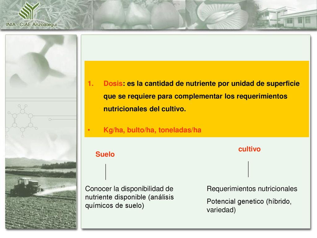 Dosis: es la cantidad de nutriente por unidad de superficie que se requiere para complementar los requerimientos nutricionales del cultivo.