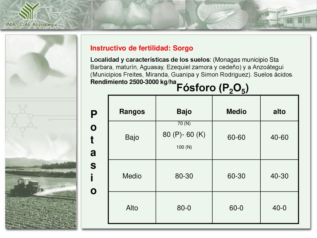 Fósforo (P2O5) Potasio Instructivo de fertilidad: Sorgo Rangos Bajo