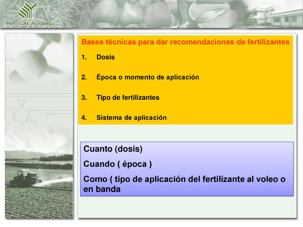 Como ( tipo de aplicación del fertilizante al voleo o en banda