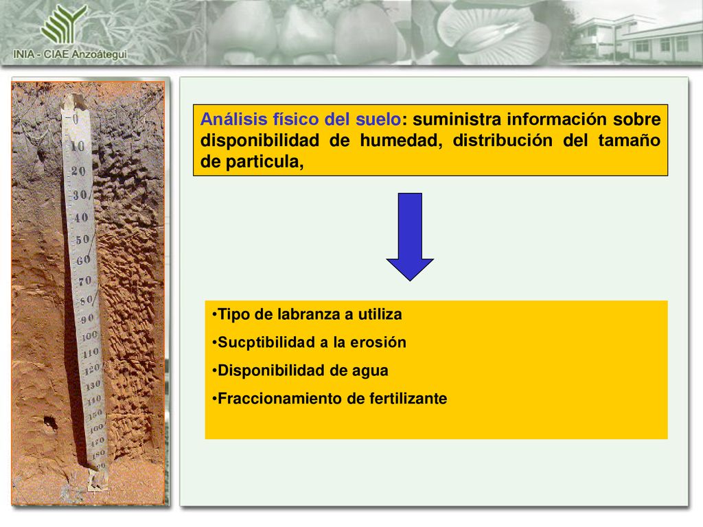 Análisis físico del suelo: suministra información sobre disponibilidad de humedad, distribución del tamaño de particula,