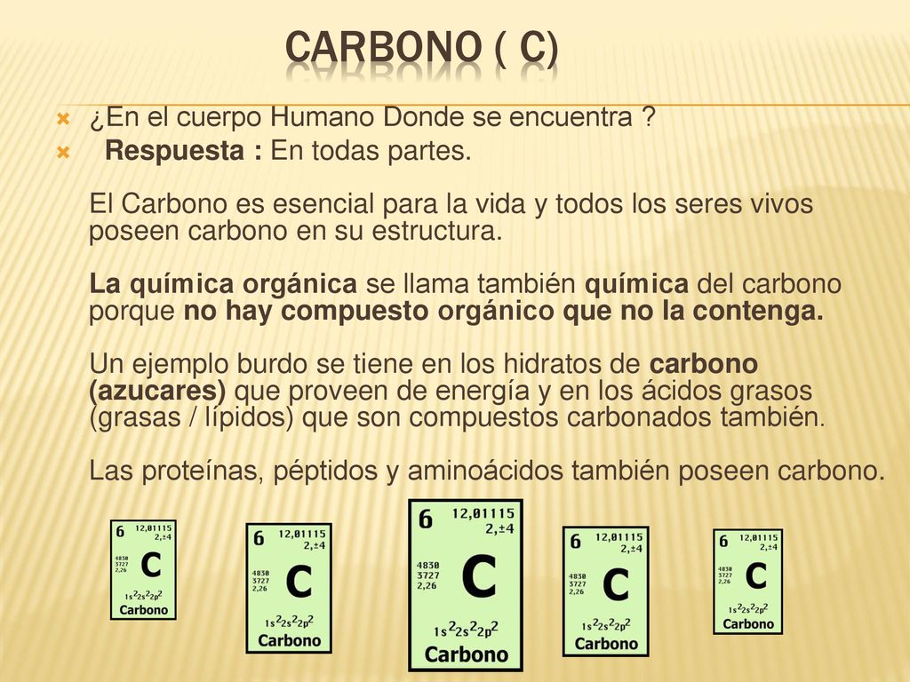 La Quimica Tiene Importancia Con El Cuerpo Humano Ppt Descargar