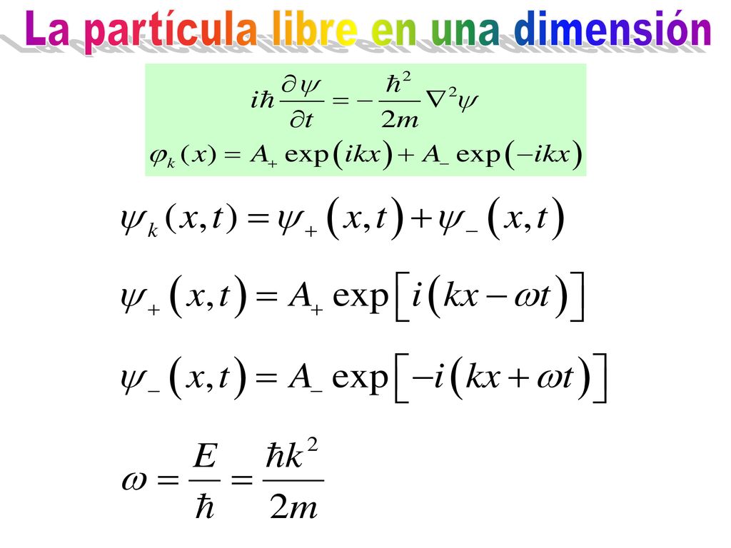 La partícula libre en una dimensión