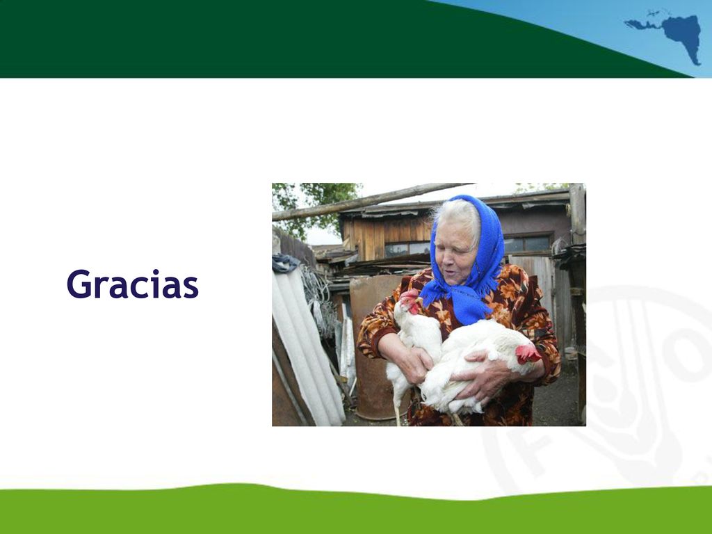 Gracias Asistencia de emergencia para la detección temprana de la influenza aviar en la región del Mercosur.