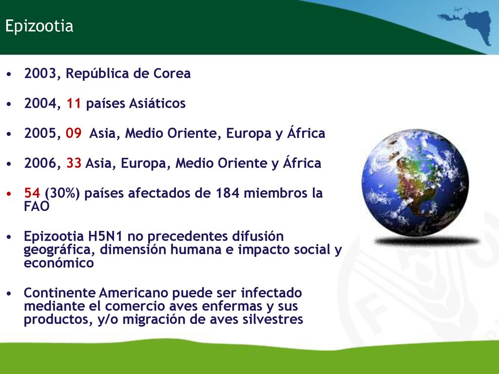 Epizootia 2003, República de Corea 2004, 11 países Asiáticos