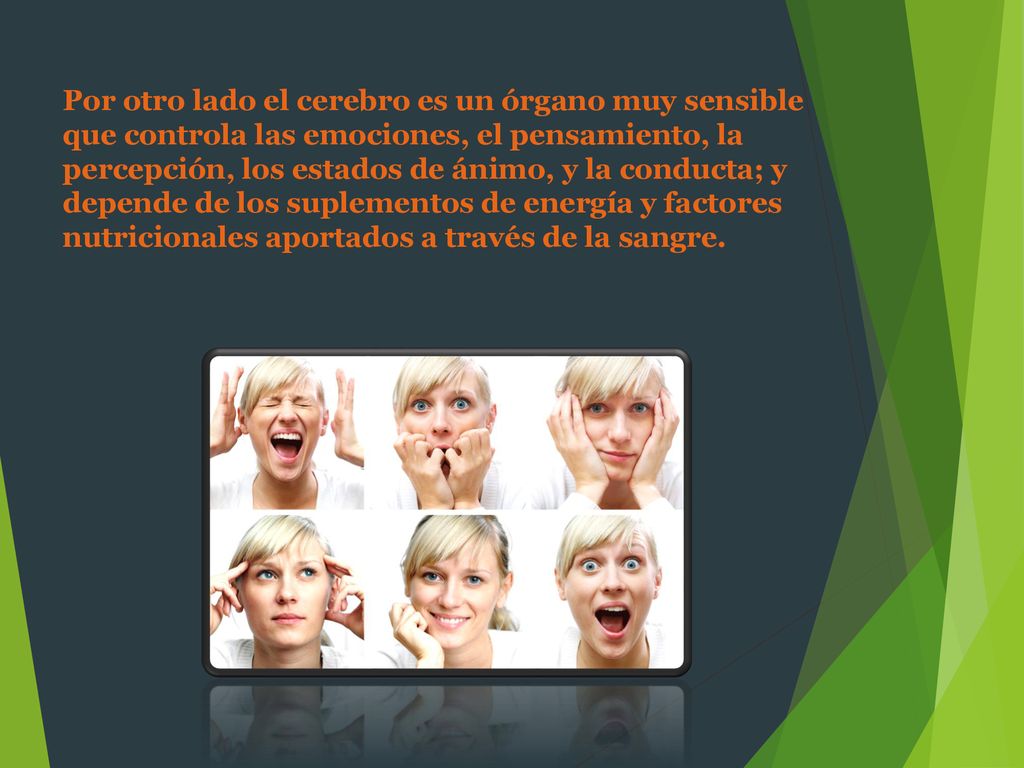Por otro lado el cerebro es un órgano muy sensible que controla las emociones, el pensamiento, la percepción, los estados de ánimo, y la conducta; y depende de los suplementos de energía y factores nutricionales aportados a través de la sangre.