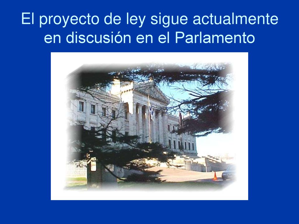 El proyecto de ley sigue actualmente en discusión en el Parlamento