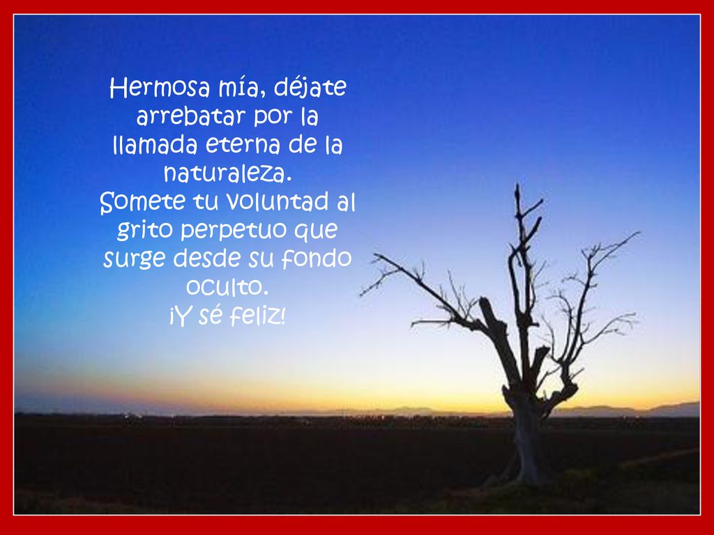 Hermosa mía, déjate arrebatar por la llamada eterna de la naturaleza