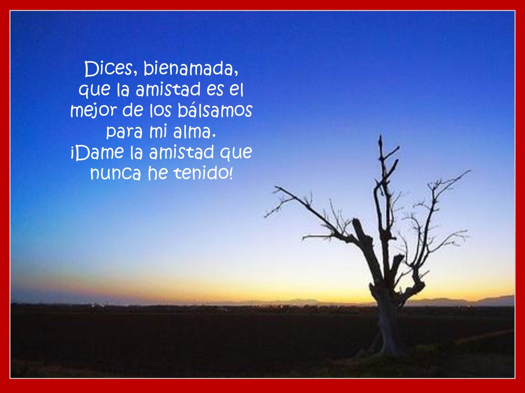 Dices, bienamada, que la amistad es el mejor de los bálsamos para mi alma.