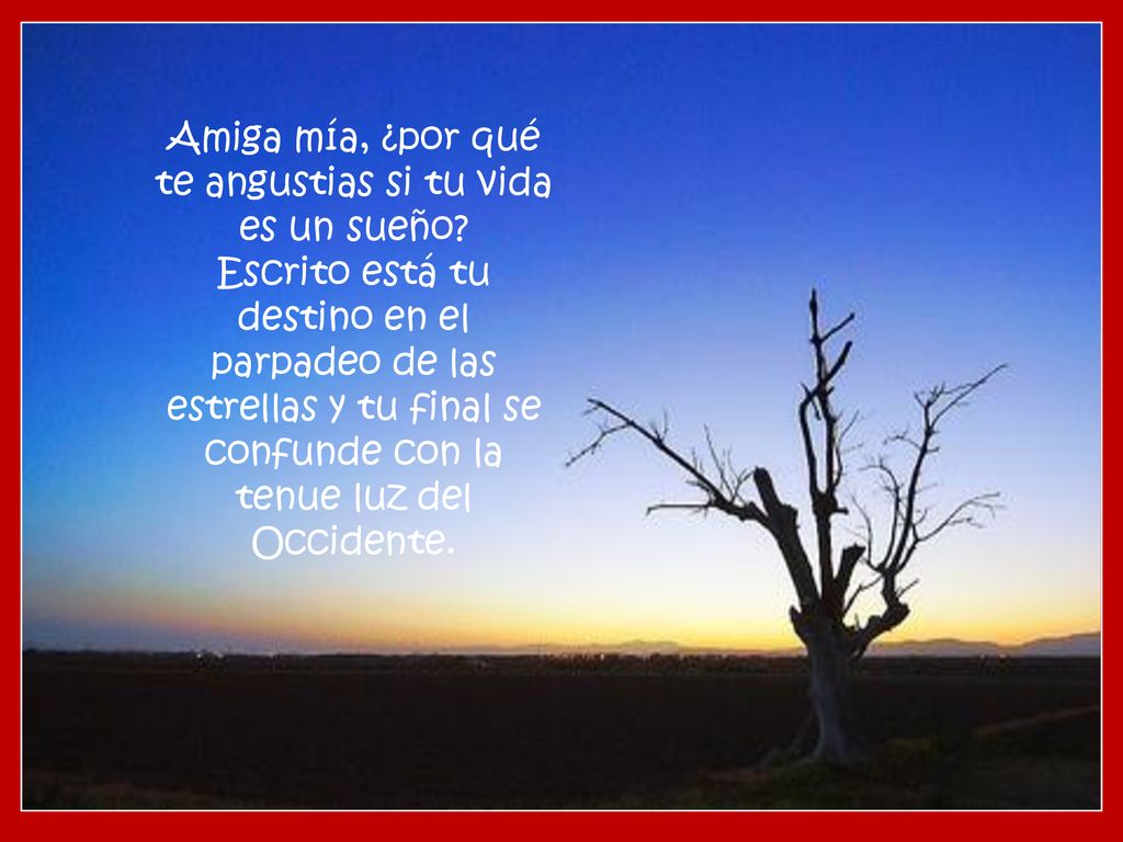 Amiga mía, ¿por qué te angustias si tu vida es un sueño