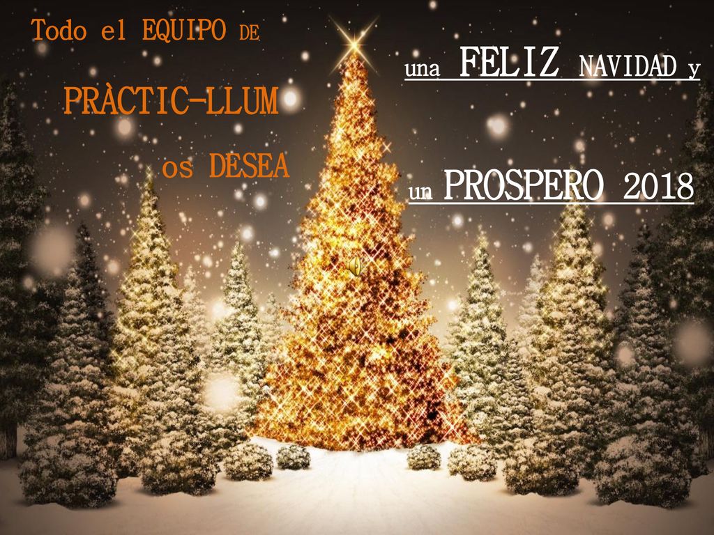 os DESEA Todo el EQUIPO DE PRÀCTIC-LLUM una FELIZ NAVIDAD y