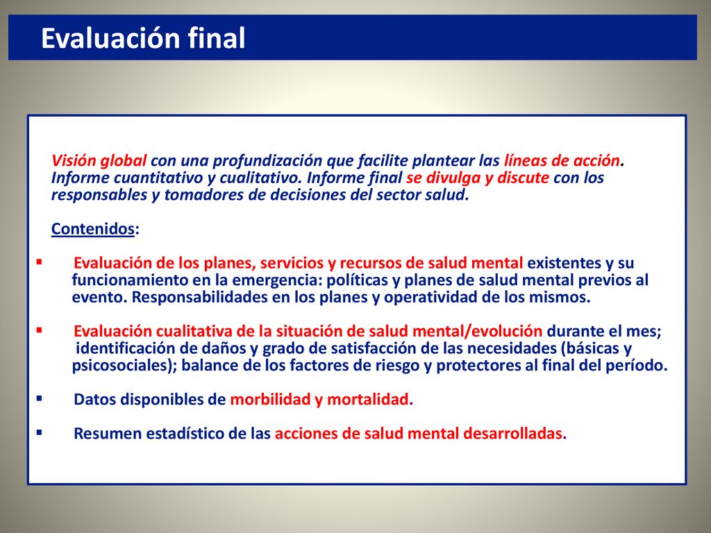 Evaluación final Visión global con una profundización que facilite plantear las líneas de acción.