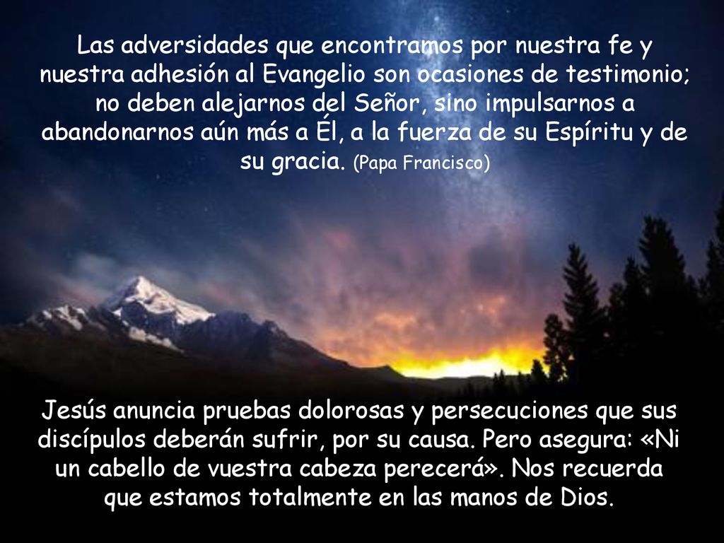 Las adversidades que encontramos por nuestra fe y nuestra adhesión al Evangelio son ocasiones de testimonio; no deben alejarnos del Señor, sino impulsarnos a abandonarnos aún más a Él, a la fuerza de su Espíritu y de su gracia. (Papa Francisco)