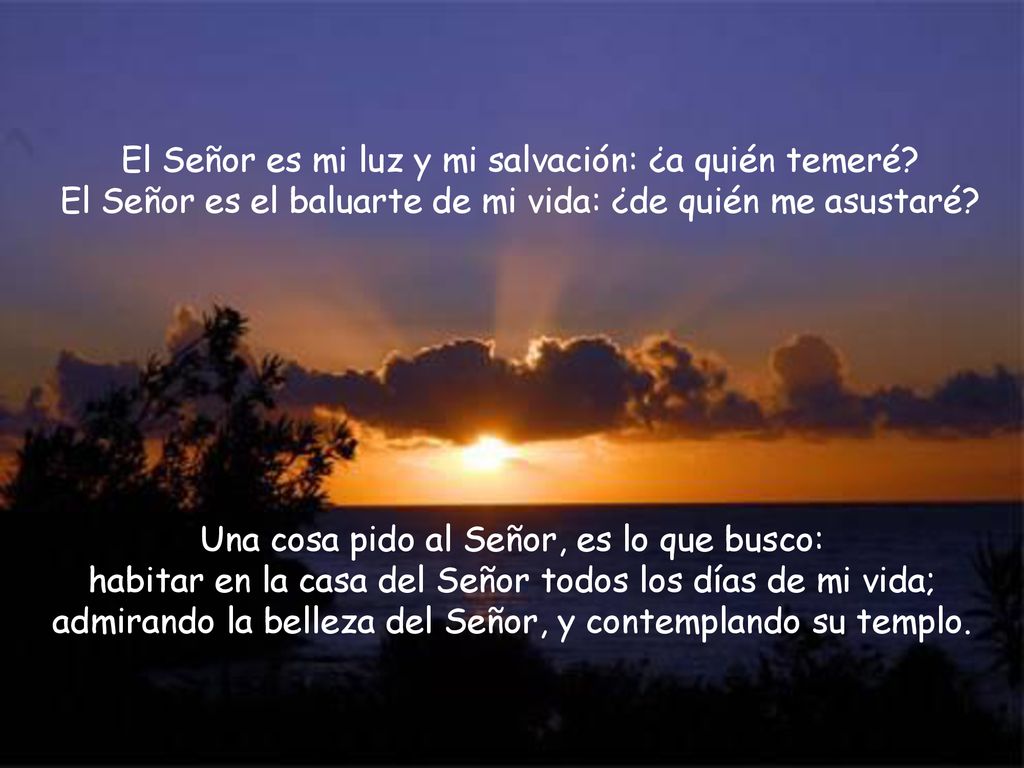 El Señor es mi luz y mi salvación: ¿a quién temeré