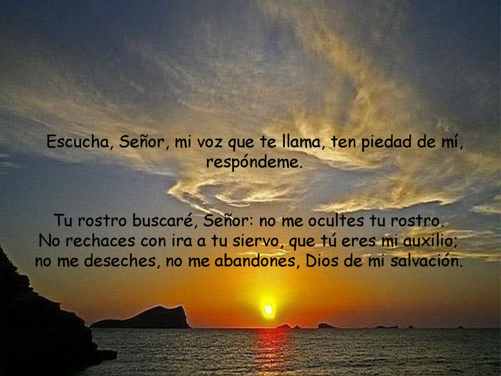 Escucha, Señor, mi voz que te llama, ten piedad de mí, respóndeme.