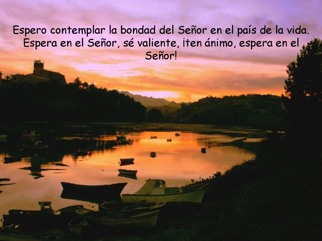 Espero contemplar la bondad del Señor en el país de la vida.