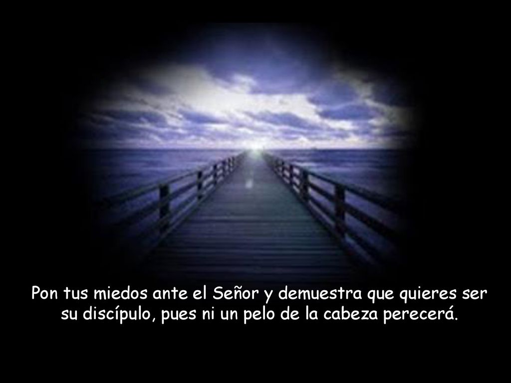 Pon tus miedos ante el Señor y demuestra que quieres ser su discípulo, pues ni un pelo de la cabeza perecerá.