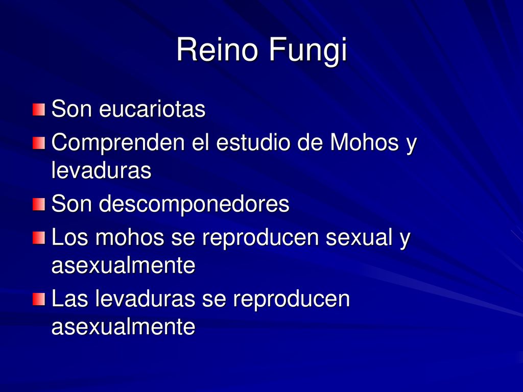 Reino Fungi Son eucariotas Comprenden el estudio de Mohos y levaduras