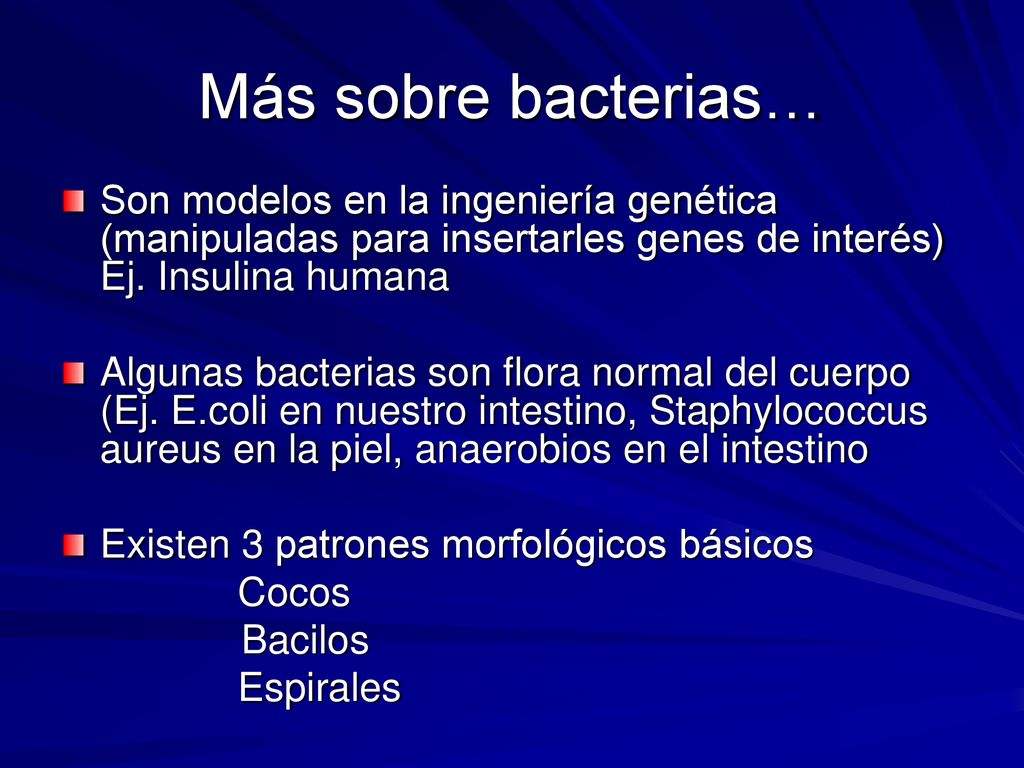 Más sobre bacterias… Son modelos en la ingeniería genética (manipuladas para insertarles genes de interés) Ej. Insulina humana.
